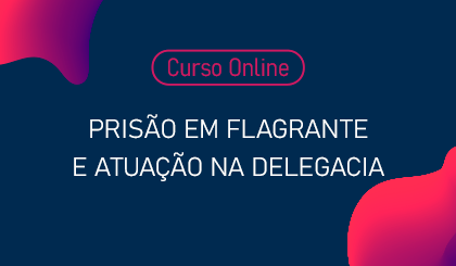 Priso em flagrante e atuao na delegacia